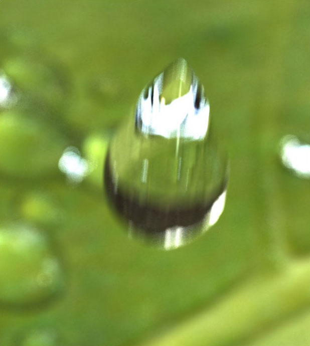 3ds max制作“水滴” 脚本之家 3dmax入门教程