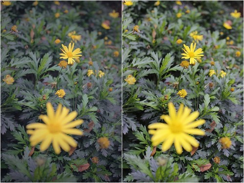 如何用曲线让画面更柔和   脚本之家