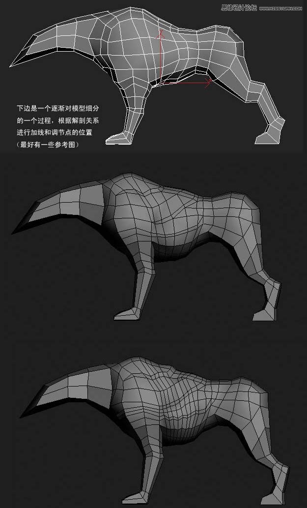 3ds MAX实例教程:多边形建模小狗,破洛洛