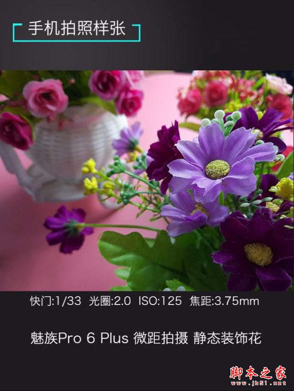 vivoXplay6/魅族Pro6Plus/锤子M1L哪个值得买？多张图看懂三款手机区别
