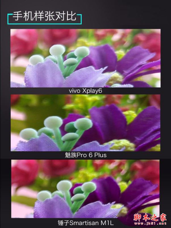 vivoXplay6/魅族Pro6Plus/锤子M1L哪个值得买？多张图看懂三款手机区别