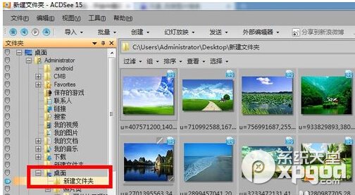 acdsee批量修改图片大小方法2