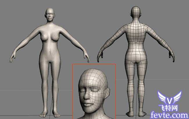 3DMAX加zbrush美人如花 GArena 脚本之家 3DSMAX角色教程