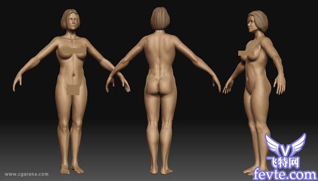 3DMAX加zbrush美人如花 GArena 脚本之家 3DSMAX角色教程