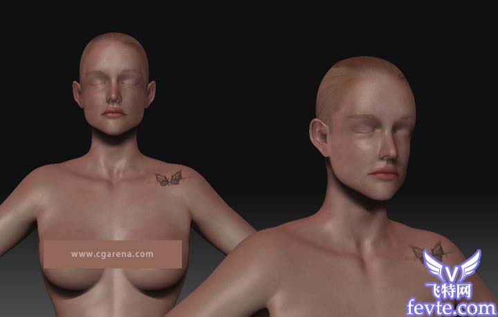 3DMAX加zbrush美人如花 GArena 脚本之家 3DSMAX角色教程
