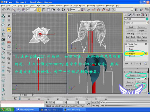 3dmax打造一支情人节玫瑰 脚本之家 3DSMAX建模教程