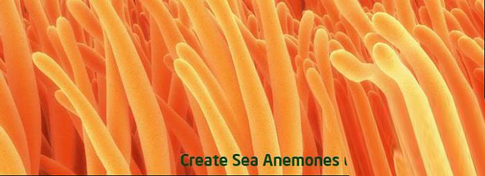 3dsmax毛发系统制作海葵 脚本之家 max渲染教程