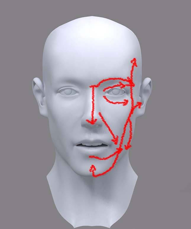 3dmax人头建模教程 脚本之家 3DSMAX建模教程