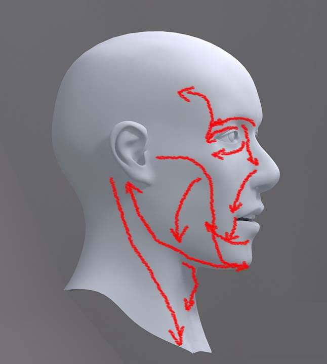 3dmax人头建模教程 脚本之家 3DSMAX建模教程