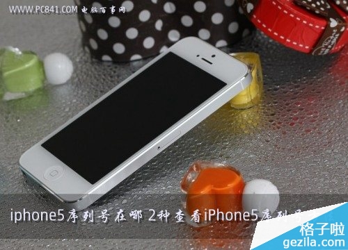 iphone5序列号在哪 2种查看iPhone5序列号方法