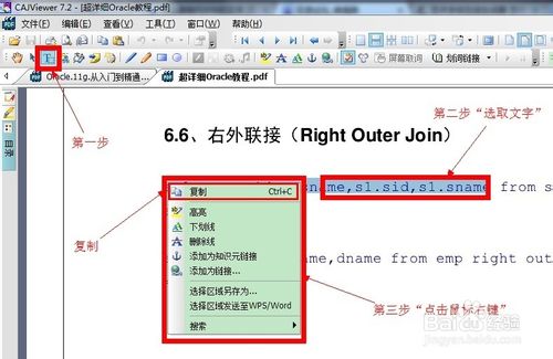 怎么复制PDF中的文字
