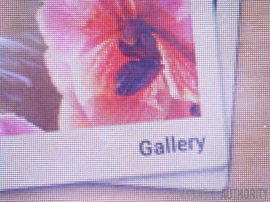 手机屏幕特写对比：2K与1080P差别大吗？