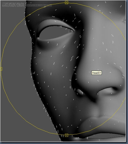 3D MAX建模教程：女性角色模型解析