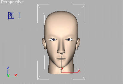 3ds Max 运动捕捉：MotionCapture 脚本之家 3DSMAX入门教程