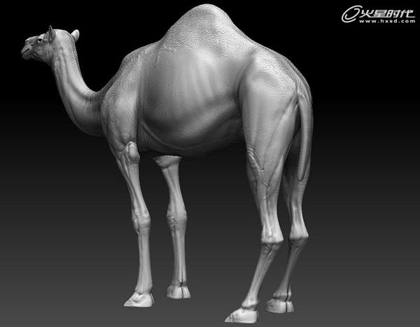 3DSMAX制作沙漠里的骆驼 脚本之家 3DSMAX建模教程