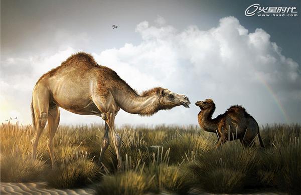 3DSMAX制作沙漠里的骆驼 脚本之家 3DSMAX建模教程