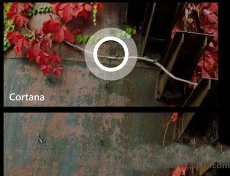 wp8升级wp8.1预览版教程:wp8怎么升级wp8.1预览版步骤1