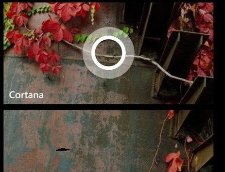 wp8.1语音助手cortana在哪？ 脚本之家