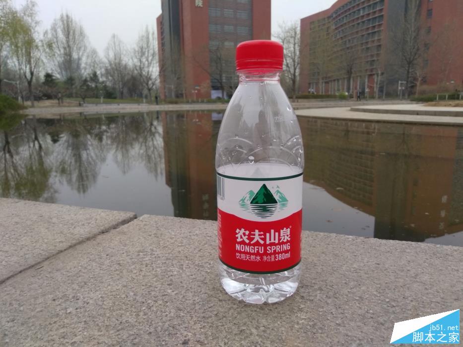 坚果
