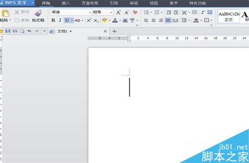 如何在Word(WPS)中给文字加下划线并进行设置