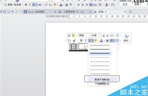 如何在Word(WPS)中给文字加下划线并进行设置