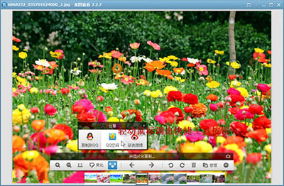 用美图看看与粉丝分享早春摄影大作