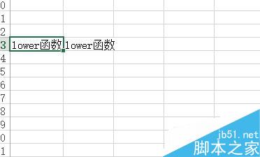 Excel中如何将文本转换为小写形式?
