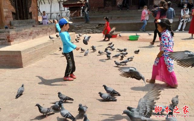 乐Pro3双摄AI版拍照怎么样？乐视Pro3双摄AI版相机拍照实拍样张