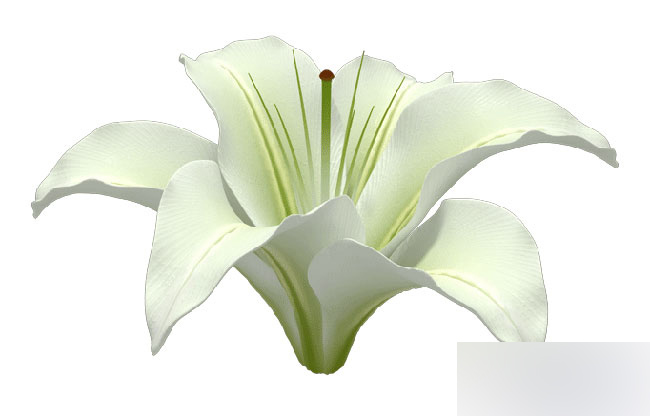 3DMAX制作纯洁百合花 脚本之家 3DMAX教程