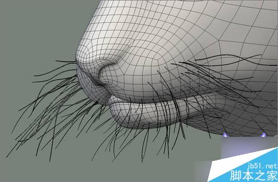 3dsmax制作超逼真的老虎  脚本之家 3dsmax教程