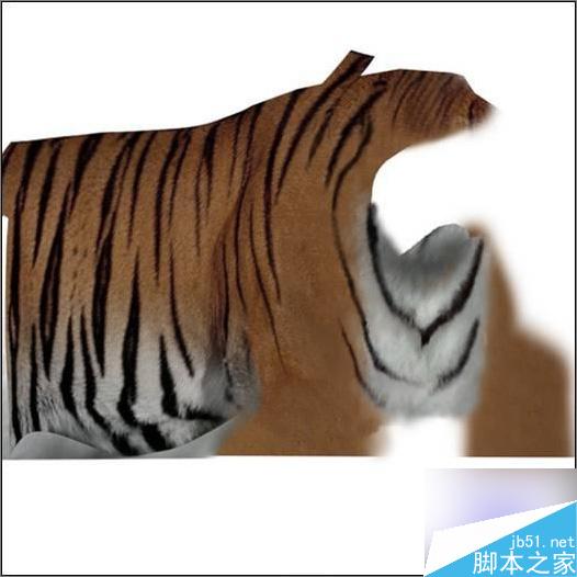 3dsmax制作超逼真的老虎  脚本之家 3dsmax教程