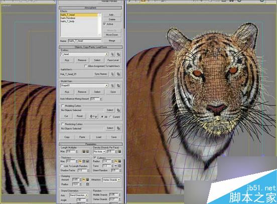 3dsmax制作超逼真的老虎  脚本之家 3dsmax教程