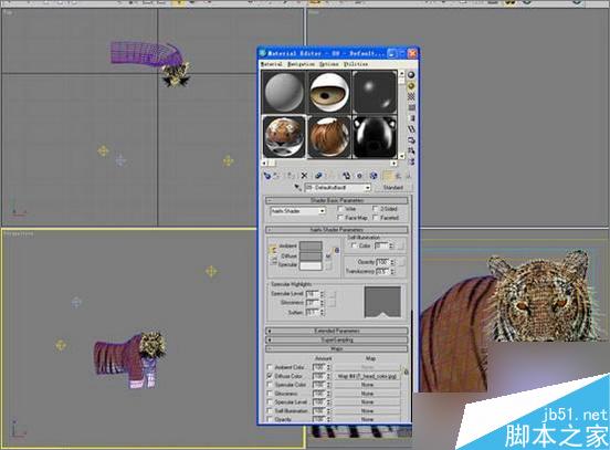 3dsmax制作超逼真的老虎  脚本之家 3dsmax教程