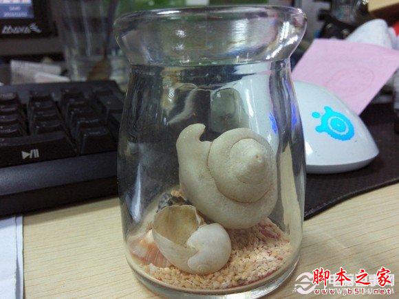 酷派大观4 mini拍照样张图赏