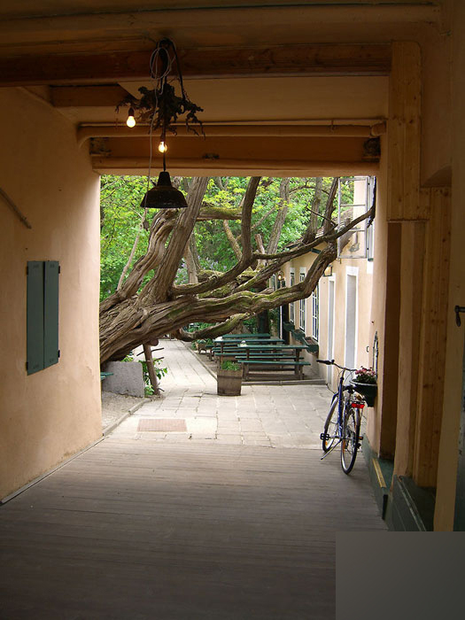 3DMAX打造意大利风格小巷场景 脚本之家 3DMAX教程