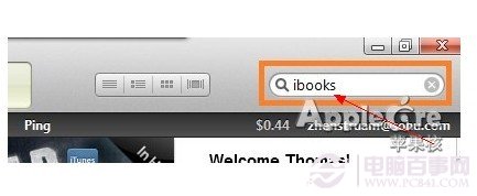 iTunes中搜索iBooks应用软件