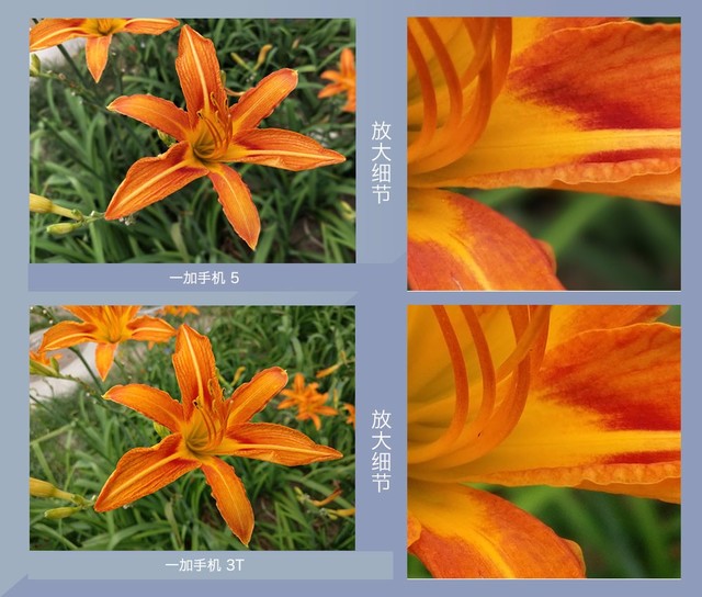 一加5和一加3T拍照哪个好？ 一加5与3T拍照样张对比