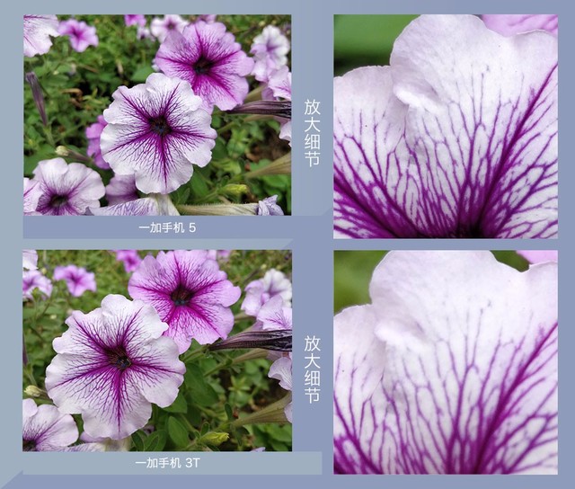 一加5和一加3T拍照哪个好？ 一加5与3T拍照样张对比