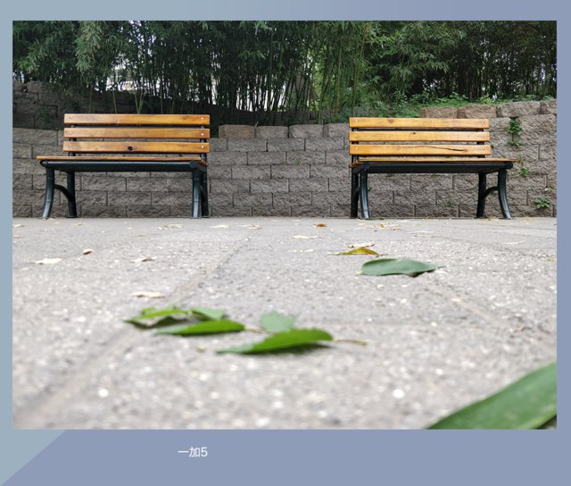 一加5和一加3T拍照哪个好？ 一加5与3T拍照样张对比