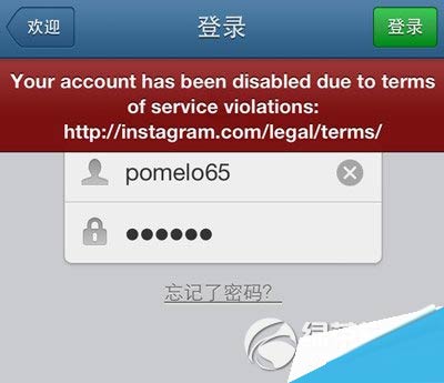 instagram被禁用怎么办？instagram被封/屏蔽解决方法1