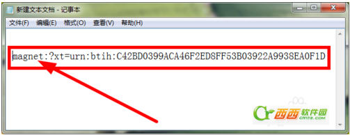 迅雷7磁力链接是什么?