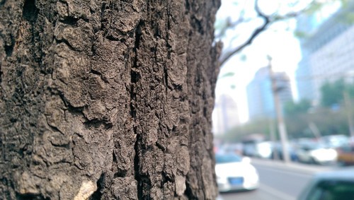 成像质量持平HTC One HTC One M8测拍照 