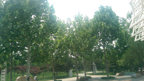 IMAG0067