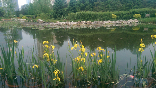 IMAG0063