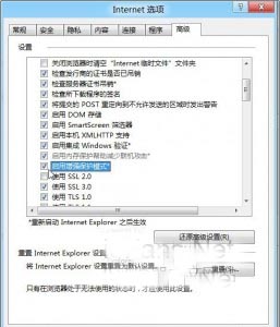 windows10下使用IE出现报错怎么办2