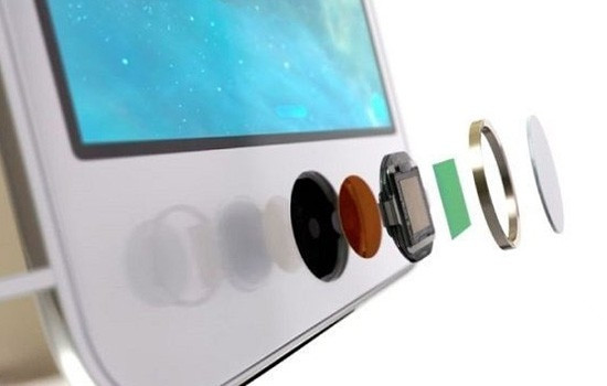 iPhone6没有蓝宝石屏幕?或要等到iPhone6s iPhone6没有蓝宝石屏幕?或要等到iPhone6s