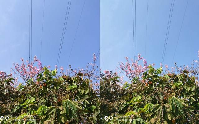 vivo X20Plus值得买吗?vivo X20Plus拍照性能外观全面深度评测