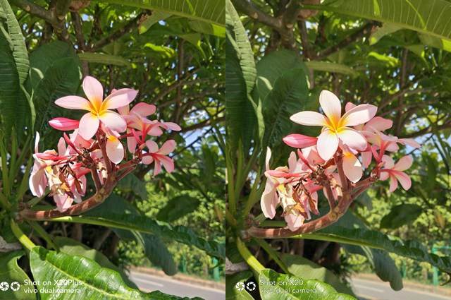 vivo X20Plus值得买吗?vivo X20Plus拍照性能外观全面深度评测