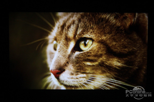 诺基亚Lumia 1320评测 屏幕