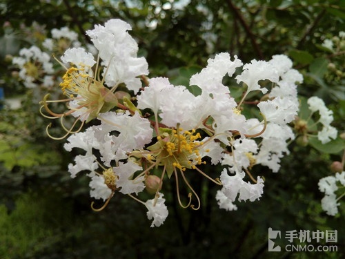 全高清大屏长续航强机 飞利浦I908评测